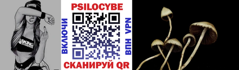 как найти закладки  Электроугли  Галлюциногенные грибы Psilocybe 